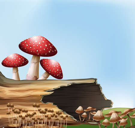 Illustration of a mushroom above the stumpのイラスト素材