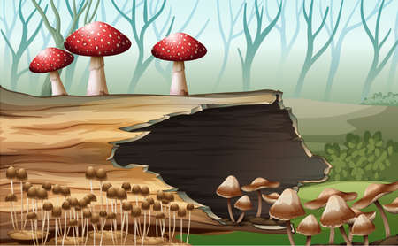 Illustration of a wood with mushroomsのイラスト素材