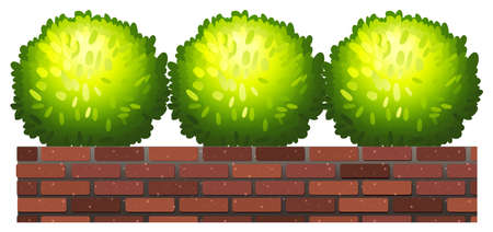 Green decorative plants on a white backgroundのイラスト素材