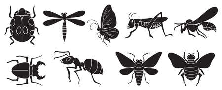 A group of insects on a white backgroundのイラスト素材
