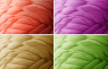 Four colors of feather design wallpaper