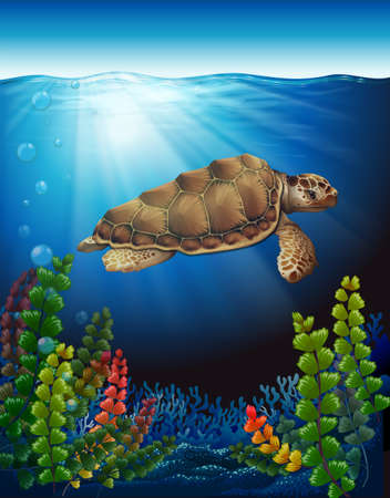 A sea turtle underwater near the seaweedsのイラスト素材