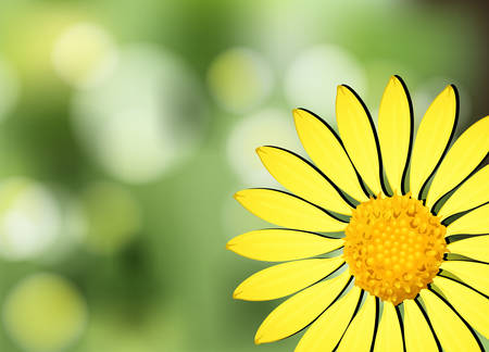 A yellow flower with a gradient colored backgroundのイラスト素材