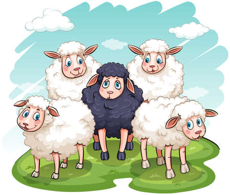 Five sheeps on a white backgroundのイラスト素材