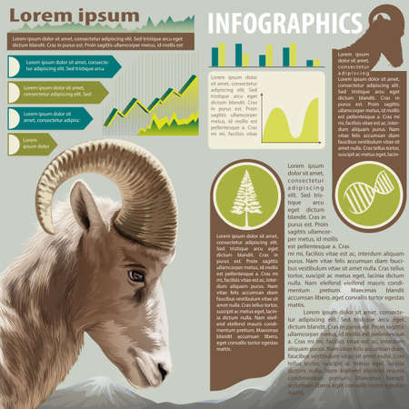 An infographics of an animal's lifeのイラスト素材