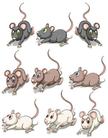 Group of mice on a white backgroundのイラスト素材