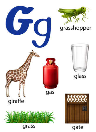 Things that start with the letter G on a white backgroundのイラスト素材