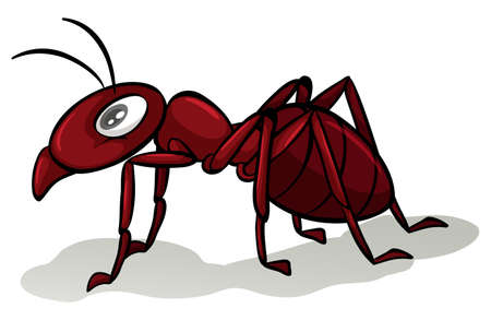One red ant on a white backgroundのイラスト素材
