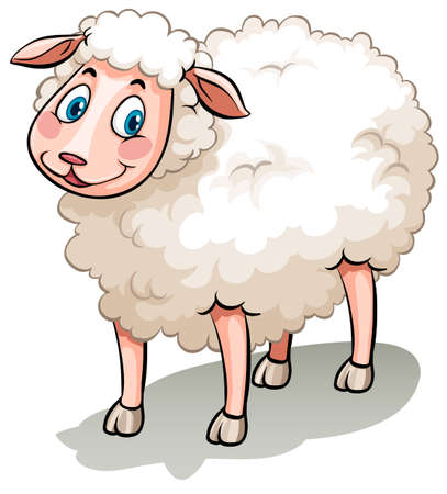 Flashcard of a smiling white sheep Flashcard of a smiling white sheep