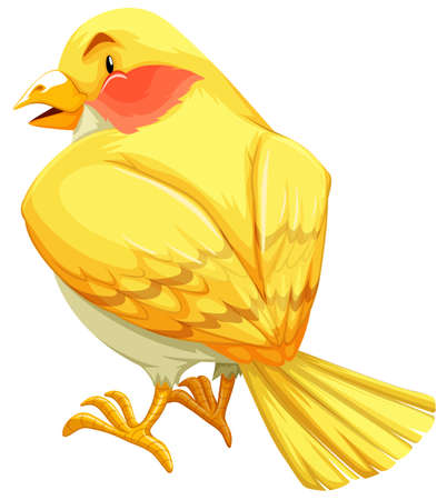 Flashcard of  a yellow birdのイラスト素材