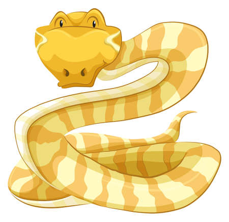 Flashcard of a yellow stripes snakeのイラスト素材