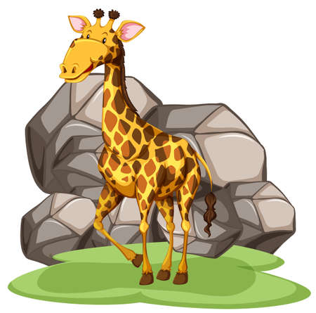 Giraffe standing in front of big rocksのイラスト素材