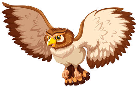 Brown owl with open wingsのイラスト素材