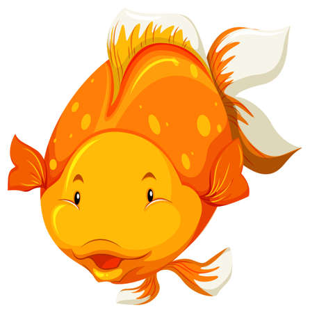 Front view of a chubby golden fishのイラスト素材
