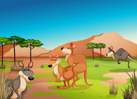 Poster of kangaroos in a jungleのイラスト素材