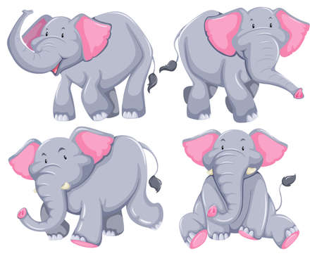 Four elephants in diferent posesのイラスト素材