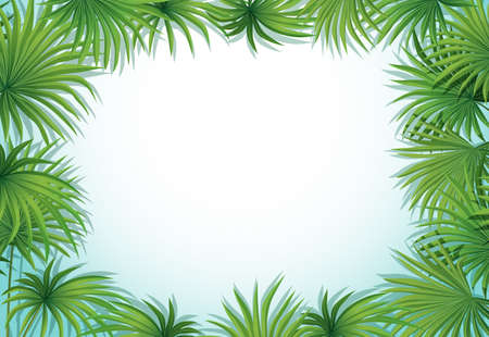 Frame of palm leaves on white backgroundのイラスト素材