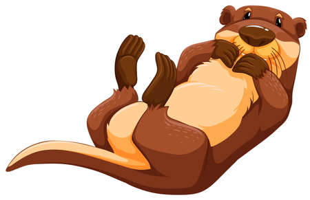 Cute otter lying on his backのイラスト素材