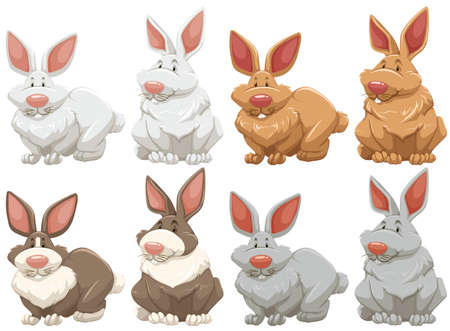 Set of different colors rabbitのイラスト素材