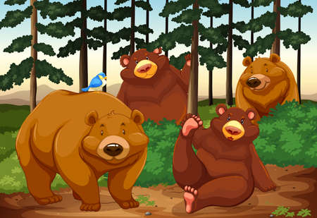 Four bears in a jungleのイラスト素材