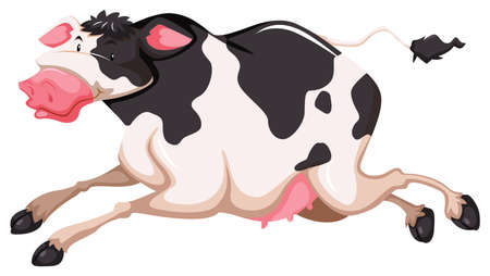 Healthy cow on white backgroundのイラスト素材