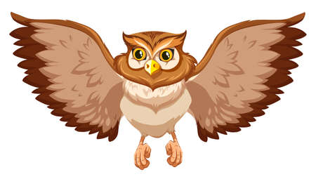 Brow owl with open wingsのイラスト素材