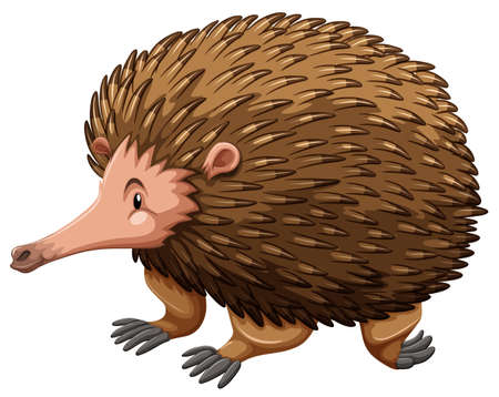 A side view of a brown echidnaのイラスト素材