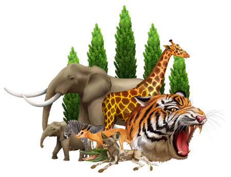 Group of wild animals on white background