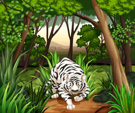 White tiger walking in a jungleのイラスト素材
