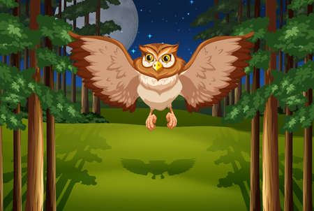 Poster of an owl flying in the jungle under full moon and starsのイラスト素材