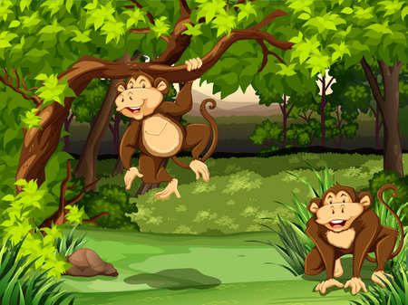 Two monkeys sitting in a jungleのイラスト素材