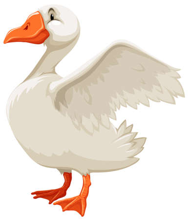 Side view of a white goose on white backgroundのイラスト素材