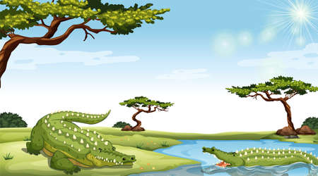 Two green crocodiles in the natureのイラスト素材