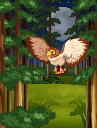 Brown owl flying in the jungle under full moon and starsのイラスト素材