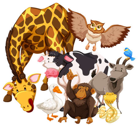 Different kind of animals living togetherのイラスト素材