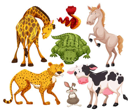 Different kind of animals in many actionsのイラスト素材