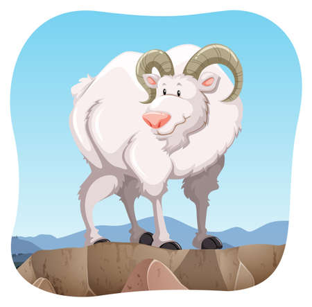 Healthy white goat standing on a cliffのイラスト素材