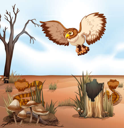 Wild animals in a desertのイラスト素材