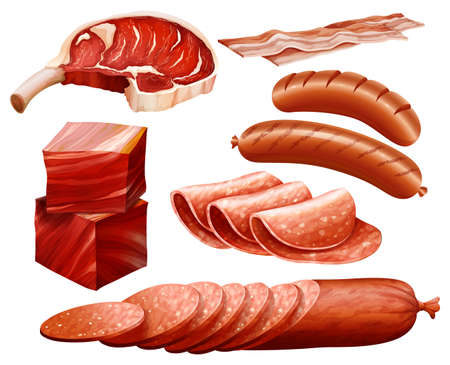 Set of different kind of meat productsのイラスト素材