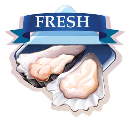 Fresh oysters with text illustrationのイラスト素材