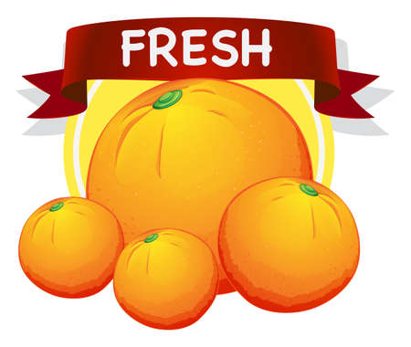 Fresh oranges with banner illustrationのイラスト素材