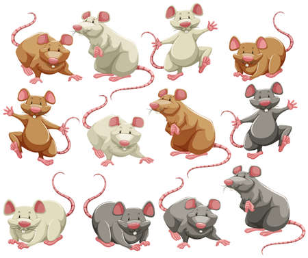 Mouse and rat in different colorsのイラスト素材