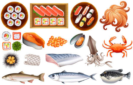 Raw seafood and sushi set in trayのイラスト素材