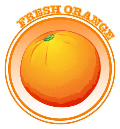 Fresh orange with text illustrationのイラスト素材