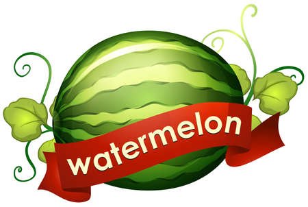 Watermelon with red banner  illustrationのイラスト素材