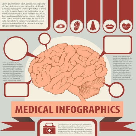 Medical infographics with brain and text illustrationのイラスト素材