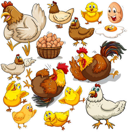 Chicken and fresh eggs illustrationのイラスト素材