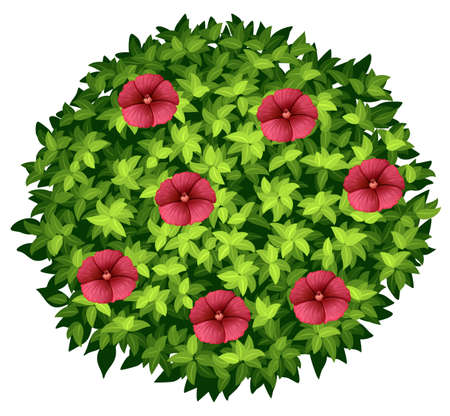 Red flowers on round bush illustrationのイラスト素材