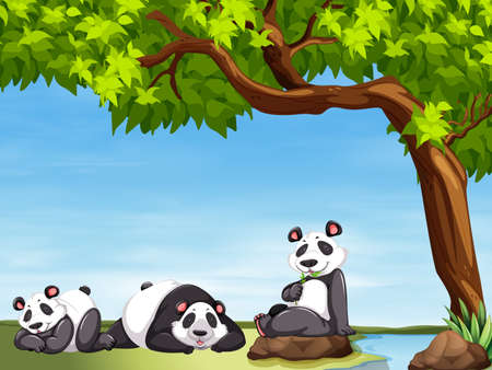 Pandas sitting under the tree illustrationのイラスト素材