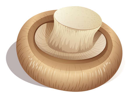 Fresh mushroom on white illustrationのイラスト素材